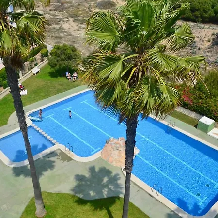 Amazing 50 M From The *