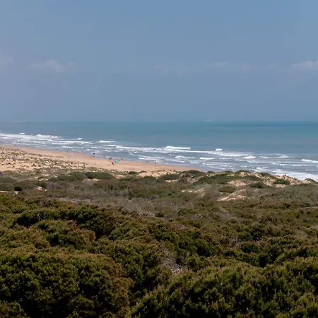 Amazing 50 M From The Апартаменты Торевьиа