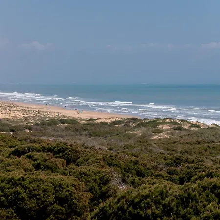 Amazing 50 M From The Apartment Torrevieja