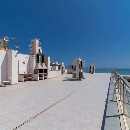 Amazing 50 M From The * Torrevieja