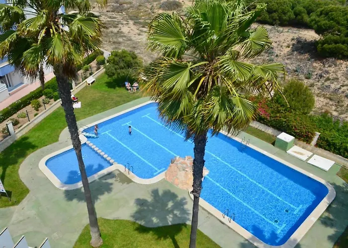 Amazing 50 M From The *